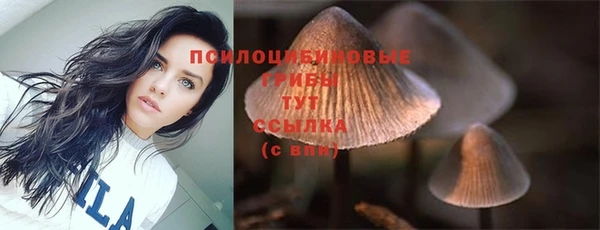 a pvp Горнозаводск