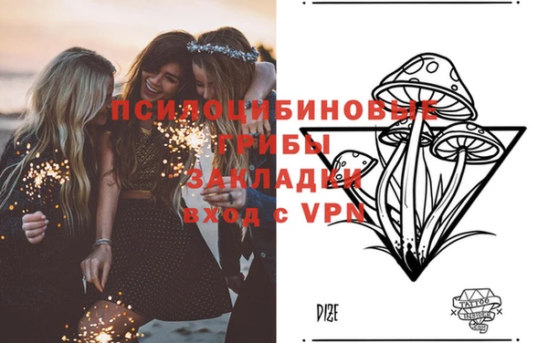 a pvp Горнозаводск