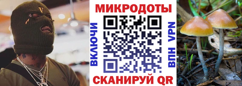 Псилоцибиновые грибы мицелий Мценск